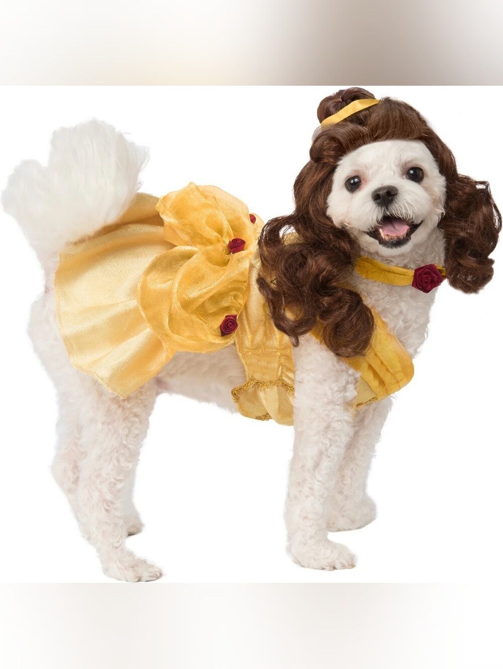 Disney Beauty And The Beast Belle Princess Animal Costume